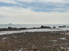 -海合安青岛极地海洋公园