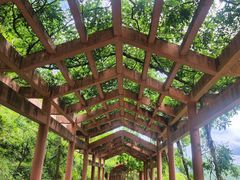 -重庆云阳龙缸景区