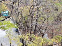 -玉渡山自然风景区