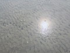 -南汇新城海滩