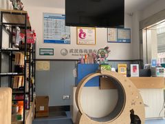 -伟伟宠物医院·瑞派猫友好医院·猫科(光谷店)