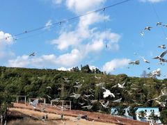 -瓷天下海丝谷