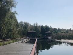 -同里国家湿地公园