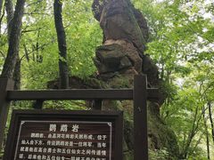 -五女峰国家森林公园