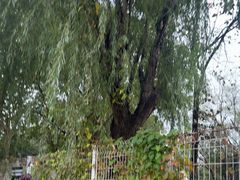 -酷鱼垂钓CLUB(朝阳区博大路店 )