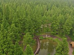 -黄海国家森林公园