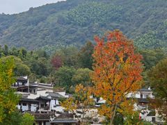 -塔川景区