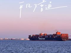 -东疆建设开发纪念公园
