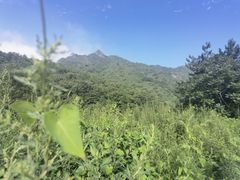 -玉渡山自然风景区