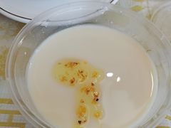 桂花冰豆花-鸿先阁·干煸虾(星沙店)