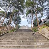 🌸花游成都 49🌸成都周边就能看到👀丹霞地貌