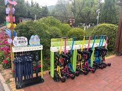 -青藏高原野生动物园