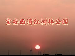 -宝安西湾红树林湿地公园