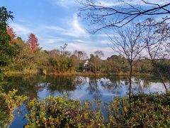 -西溪国家湿地公园