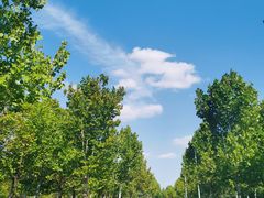 -狼山风景名胜区