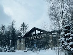 -长白山万达国际度假区