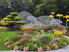 -上海共青森林公园