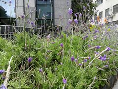 -中铁上海设计院集团有限公司