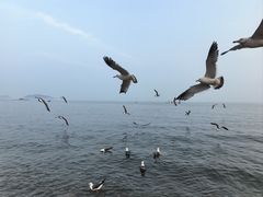-银沙滩浴场