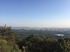 -紫金山天文台