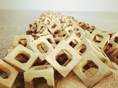 -东疆建设开发纪念公园