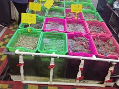 -众味海鲜大排档·活海鲜·潮汕味(南澳店)