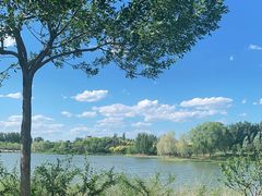 -东郊湿地公园