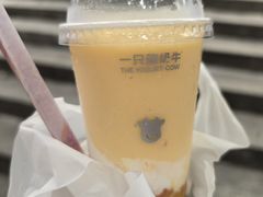 -一只酸奶牛(八一路店)