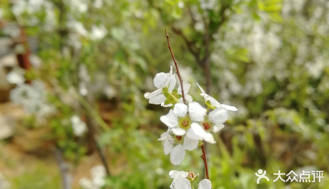轻装上阵，去野外，去水边