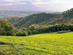 -敬亭山风景名胜区