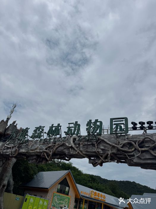 大连森林动物园图片