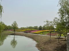 -梁鸿国家湿地公园