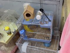 -FAELING PETS美天灵宠物(富力广场店)