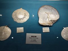 -青岛贝壳博物馆
