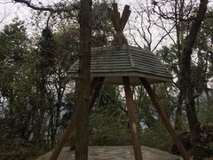 -九曜山