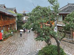 景观位-木王宴语·野生鲜菌火锅(玉河店)