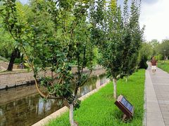 -元大都城垣遗址公园