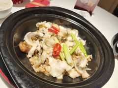 -谭厨中山传家菜.乳鸽.脆鲩鱼(华强北中航城店)
