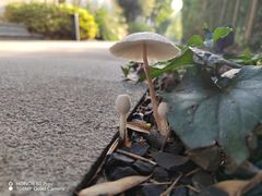 -成都院坝精品私汤民宿酒店