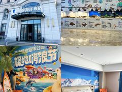 -海合安天津极地海洋公园