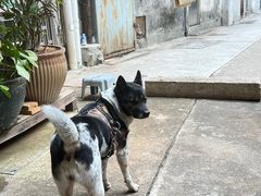 -义顺牛奶公司(新马路老店)