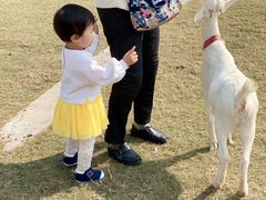 -前小桔亲子创意农场·草莓采摘·露营烧烤