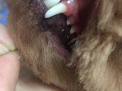 -沐沐家宠物(成寿寺店)