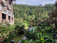 -天芳悦潭度假村温泉