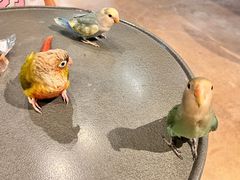 -微焙咖啡工厂(海峡创意产业园·红坊店)