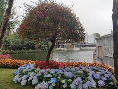 -荔湾湖公园