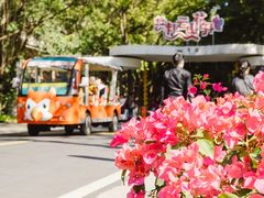 -广州市白云山风景名胜区