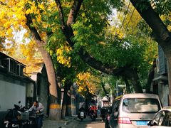 -成都驻京办餐厅(蜀都宾馆店)