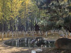 -艾溪湖湿地公园