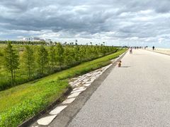 -南汇嘴观海公园